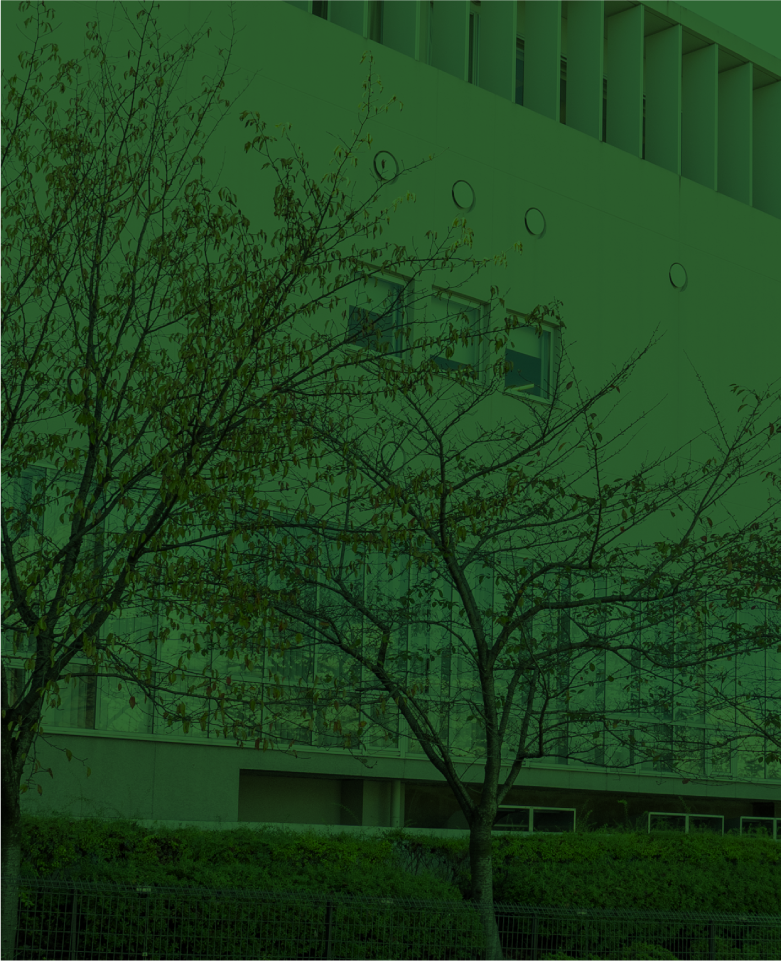 南山 ロケーション