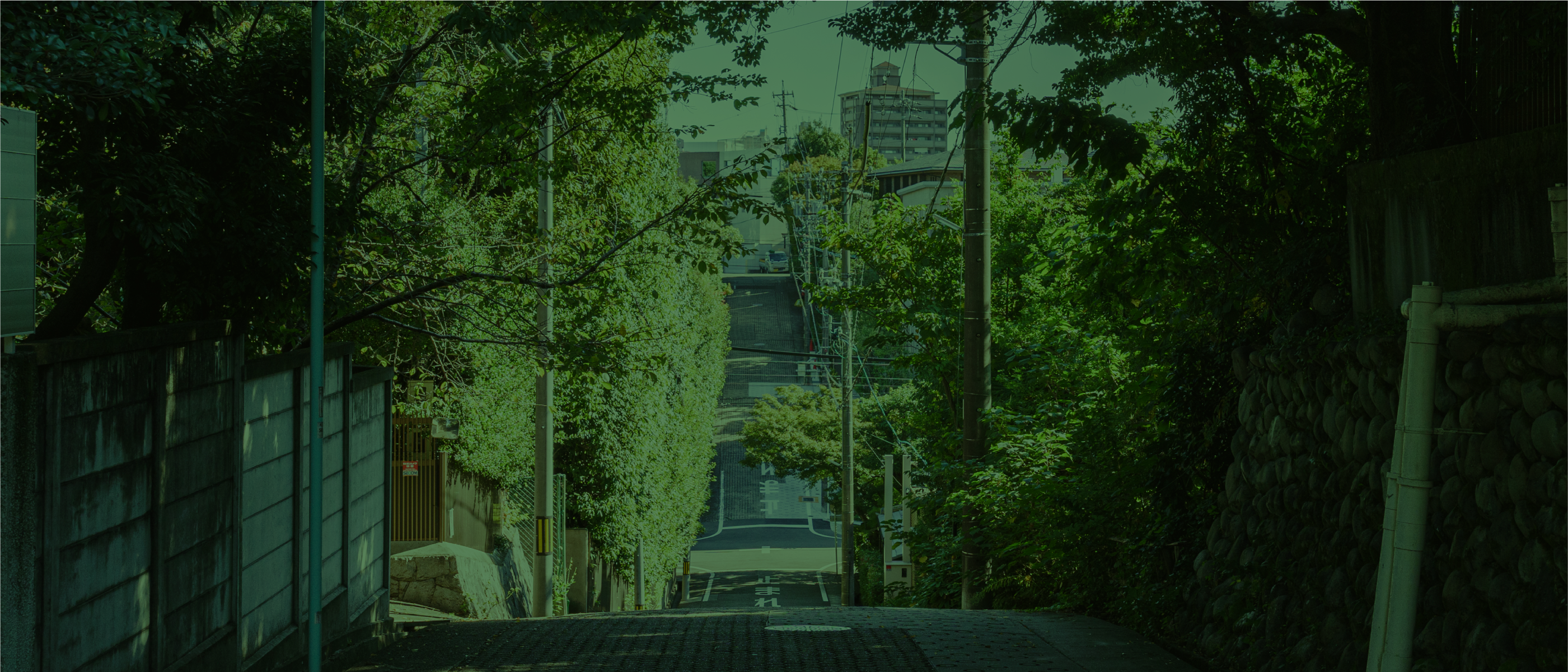 南山 ロケーション